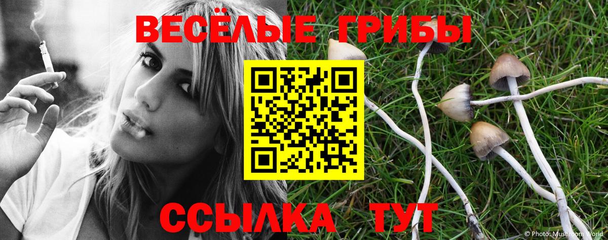 Псилоцибиновые грибы MAGIC MUSHROOMS  Вход с VPN  Псилоцибиновые грибы ЛСД  Борисоглебск 