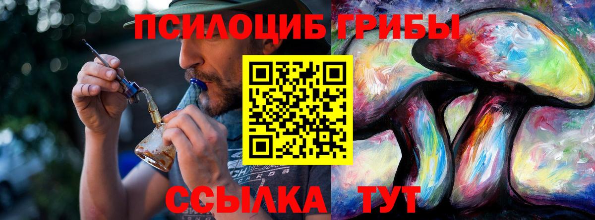 Галлюциногенные грибы Psilocybine cubensis Борисоглебск